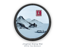 Load image into Gallery viewer, 3-Pack D for Mikro: Piper Roza, Dulce Brisa, Jingmai Xiang Wei (Does NOT Include Mikro Device)